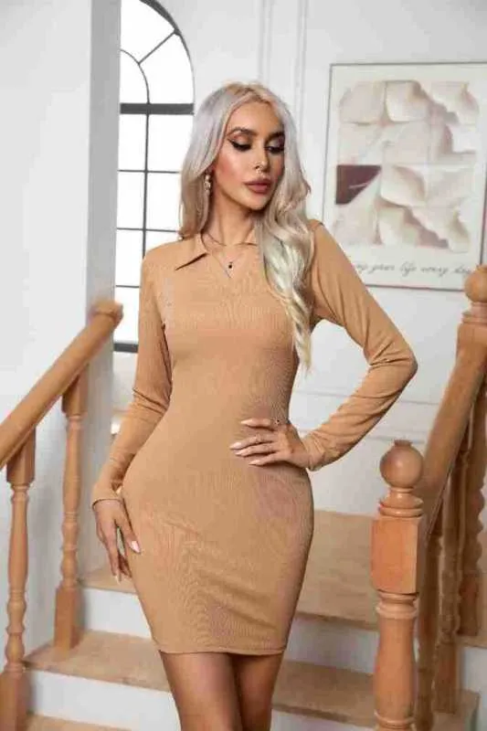 Basic Long Sleeve Easy Fit Collared Pencil Mini Dress